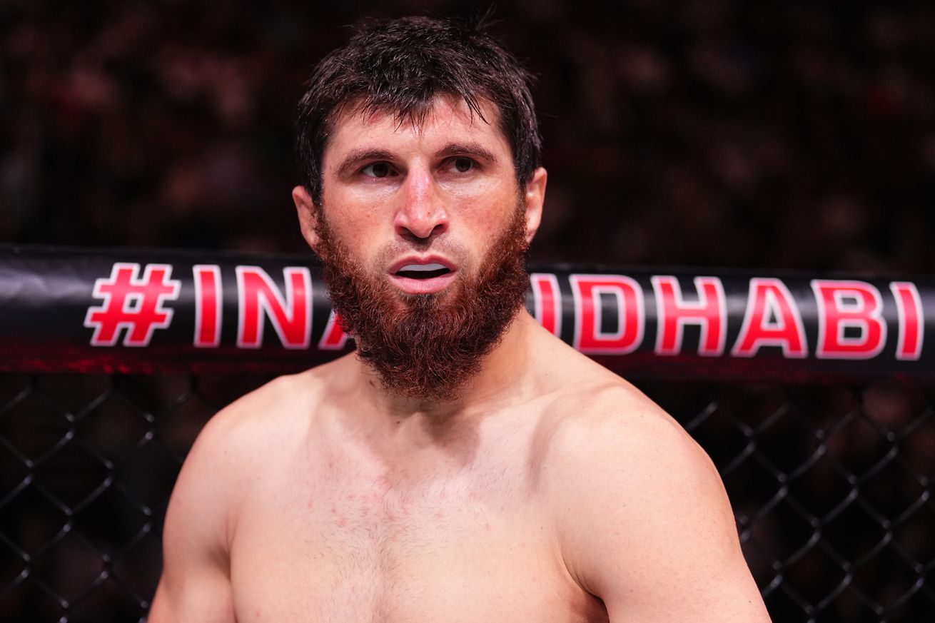 Magomed Ankalaev warns Alex Pereira following UFC 313 fight announcement: ‘You just sign your death certificate’