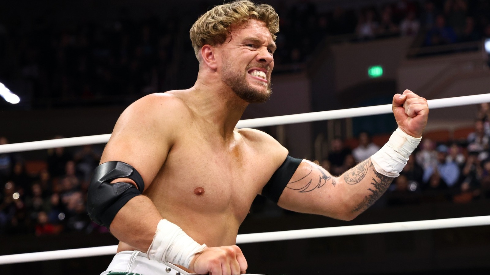 AEW’s Will Ospreay Confirms Triple H’s Comments On ‘The Grind’ In WWE Were About Him