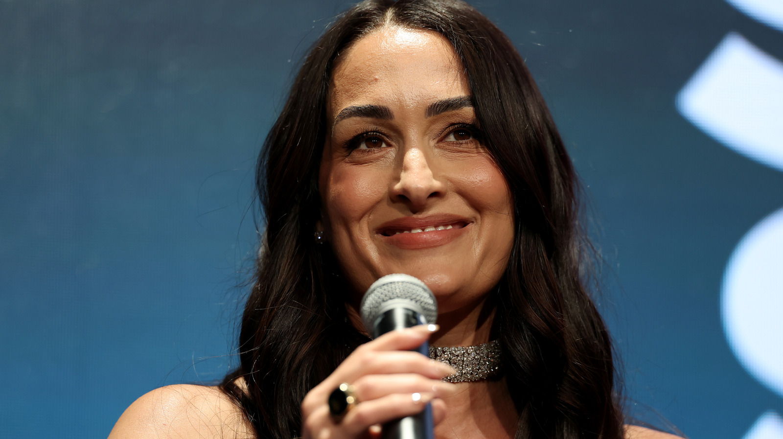 Former WWE Star Nikki Bella Reportedly Paying Large Sum To Ex-Husband After Divorce