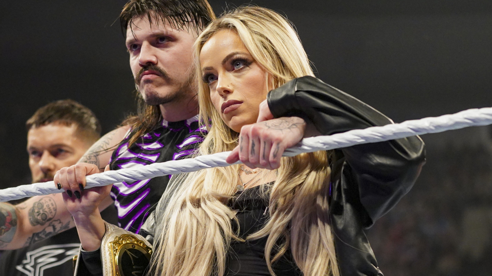 More Details On Arrest, Identity Of Accused Stalker Of WWE Star Liv Morgan