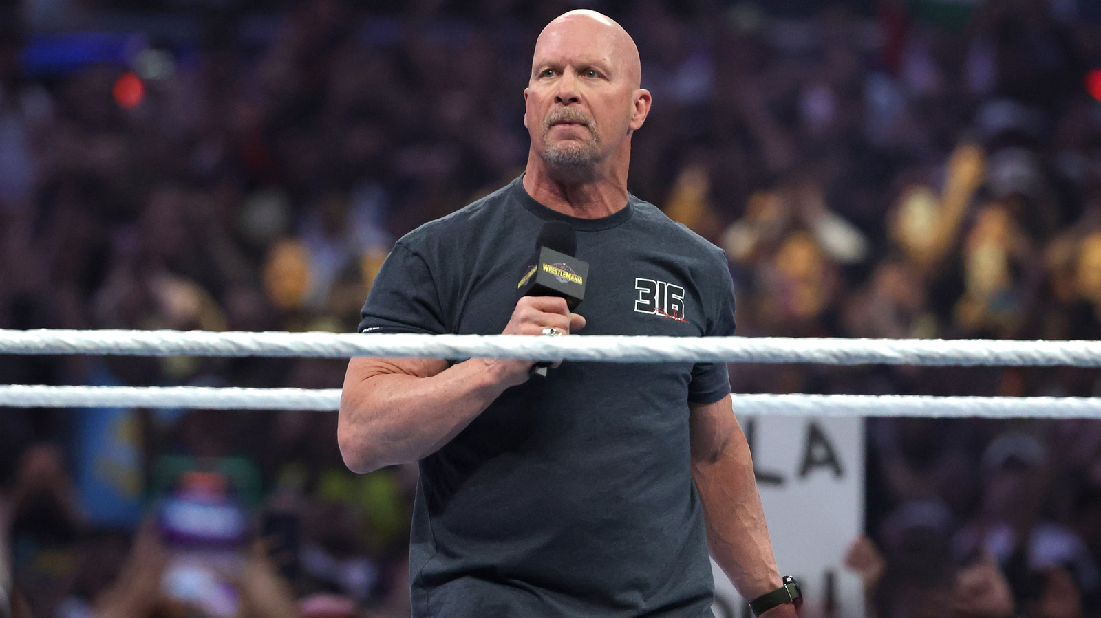 Steve Austin Remembers His Favorite WWE Feuds