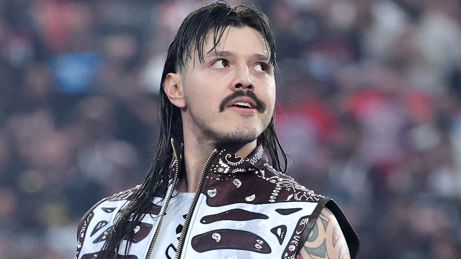 AAA Announces International Broadcast Deal With Major Network