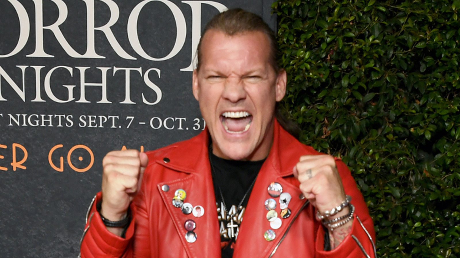 Matt Hardy Discusses AEW’s Chris Jericho Possibly Returning To WWE