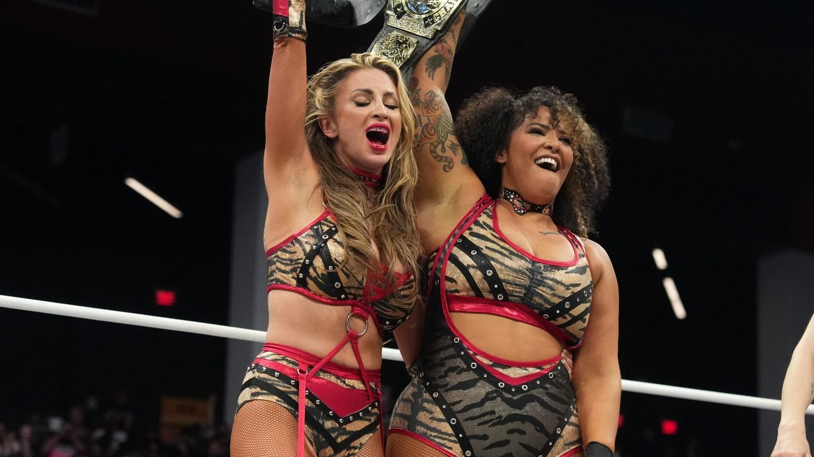 AEW Women’s Tag Title Rematch Set For Worlds End