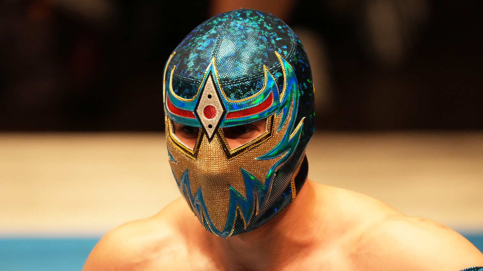AEW Signs Multiple CMLL Stars To Dual Contracts