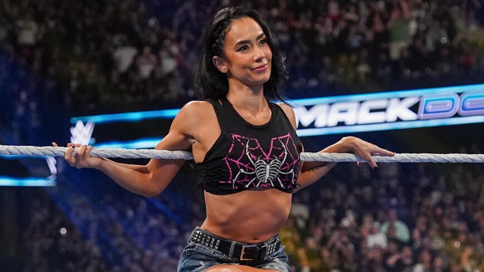 AJ Lee’s WWE WrestleMania Plans Potentially ‘Locked In’