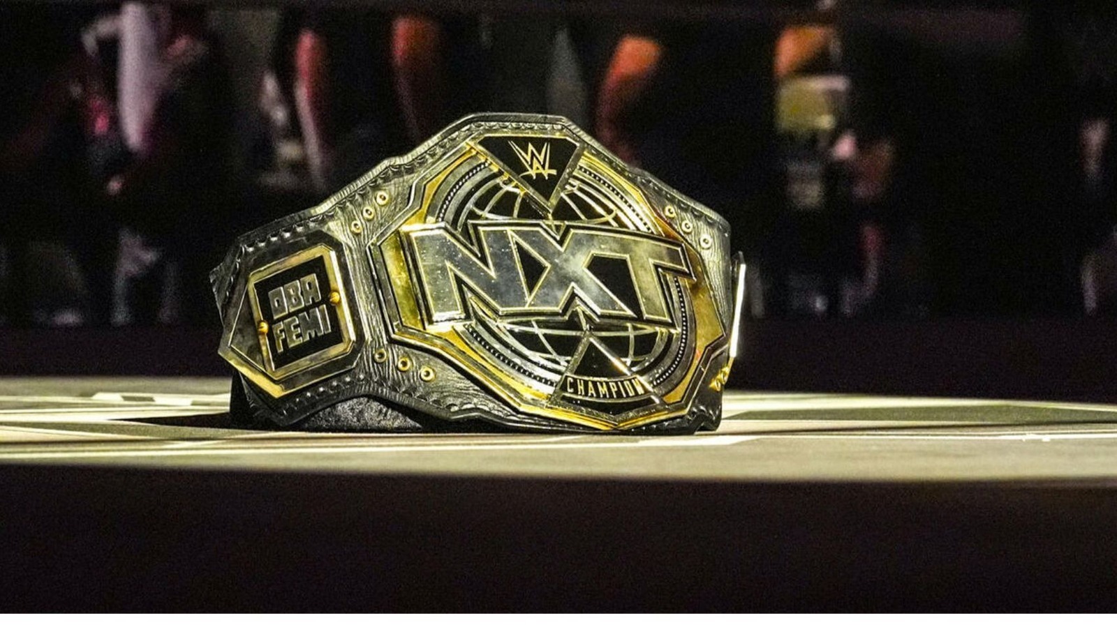 Last Competitors Qualify For Vacant WWE NXT Title Ladder Match