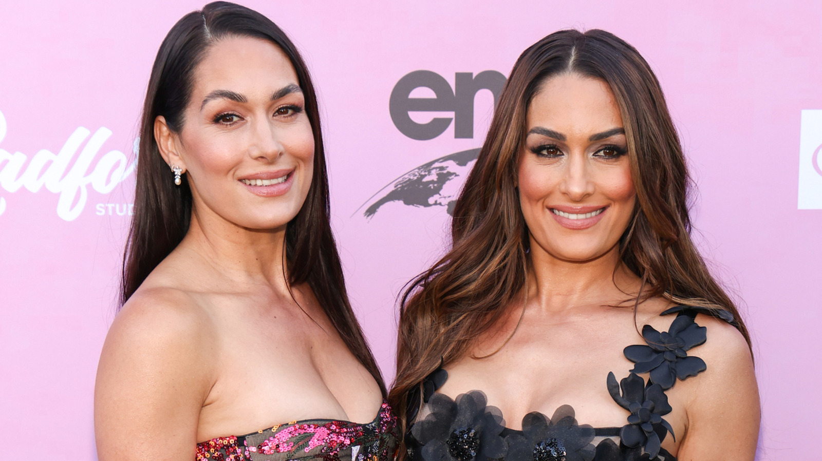 Nikki Bella Pulls Back Curtain On Wrestling Postpartum & WWE Return