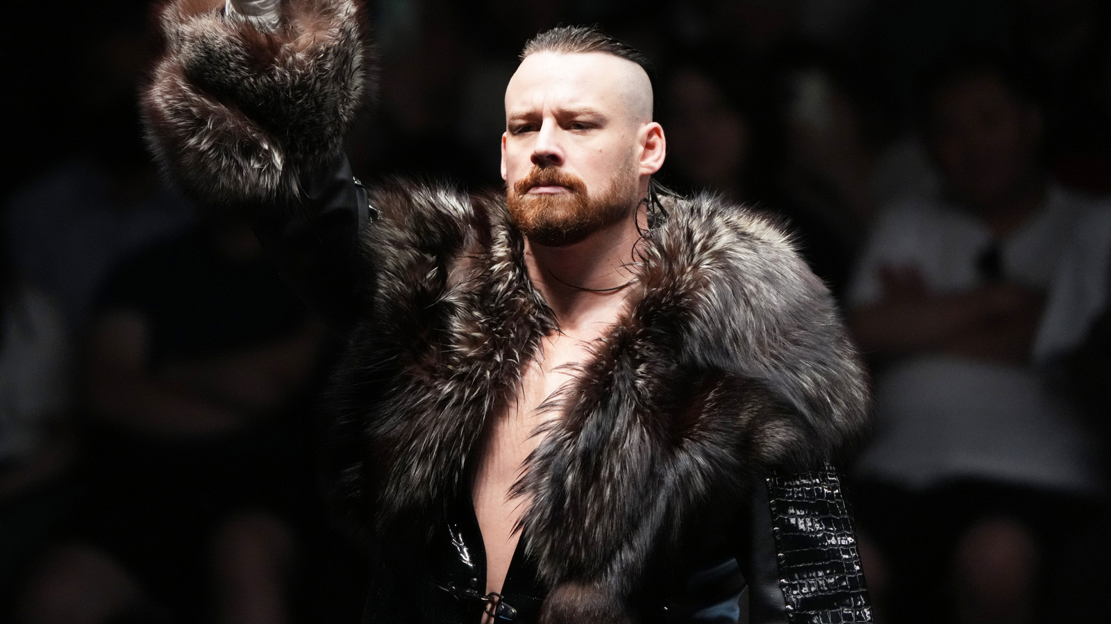 Former NJPW Star David Finlay Reportedly Not Factored Into Current WWE Creative Plans