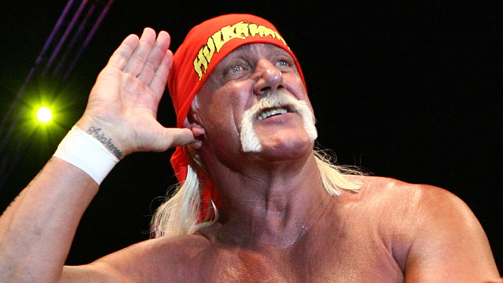 Dave Meltzer Offers Explanation For Hulk Hogan Being Left Out Of Oscars In Memoriam