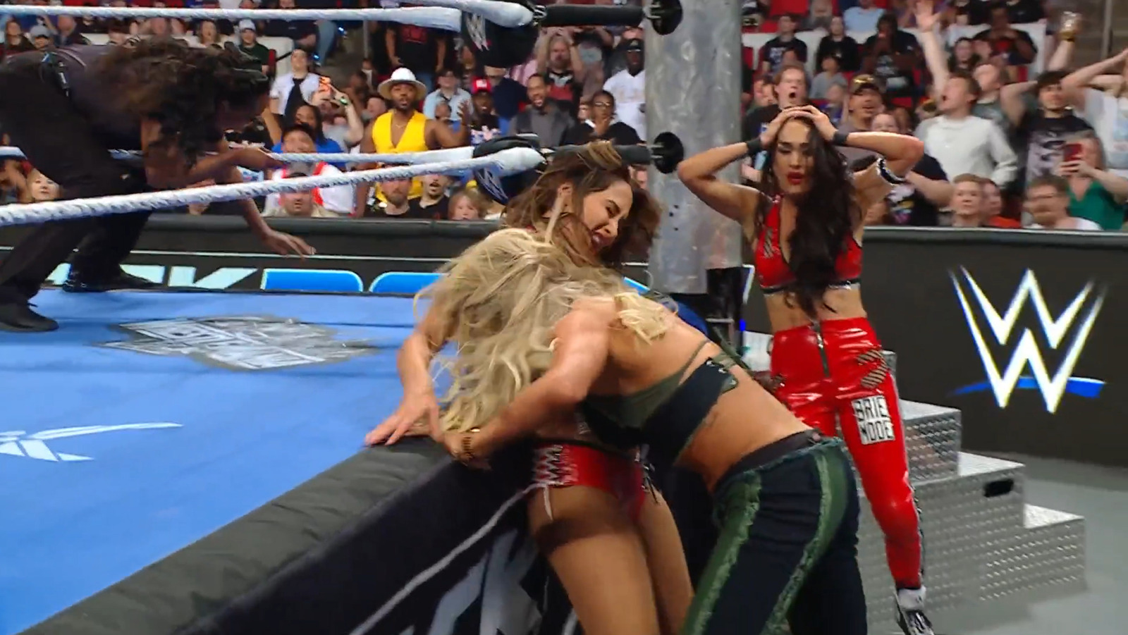 Bella Twins’ First-Ever Shot At WWE Women’s Tag Titles Ends In DQ, Brawl On Smackdown