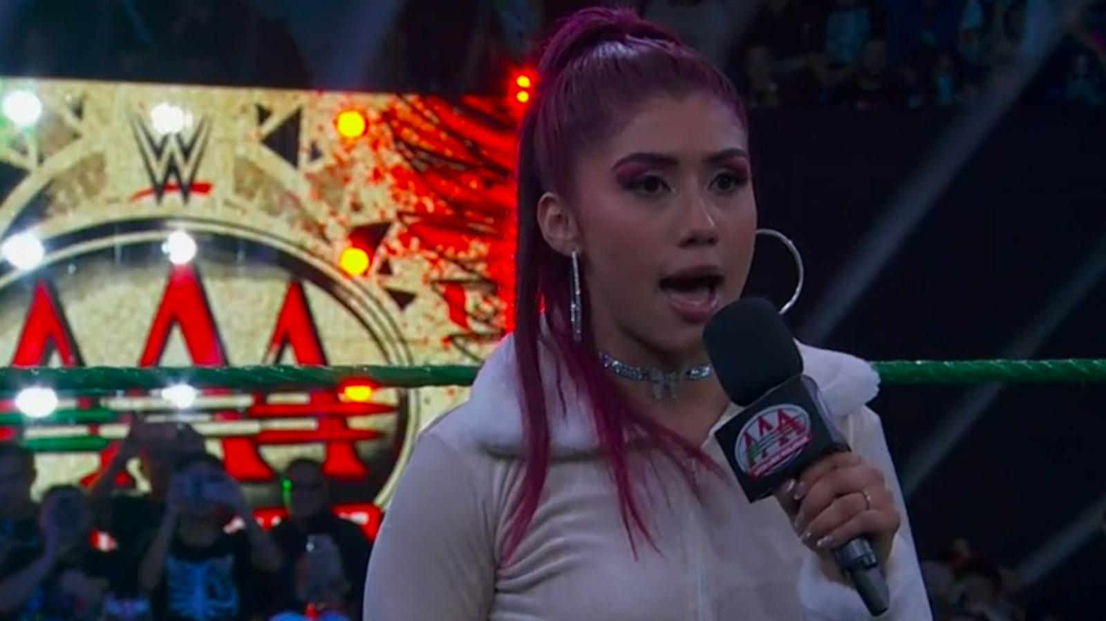 Former CMLL & WWE Wrestler La Catalina Makes AAA Debut