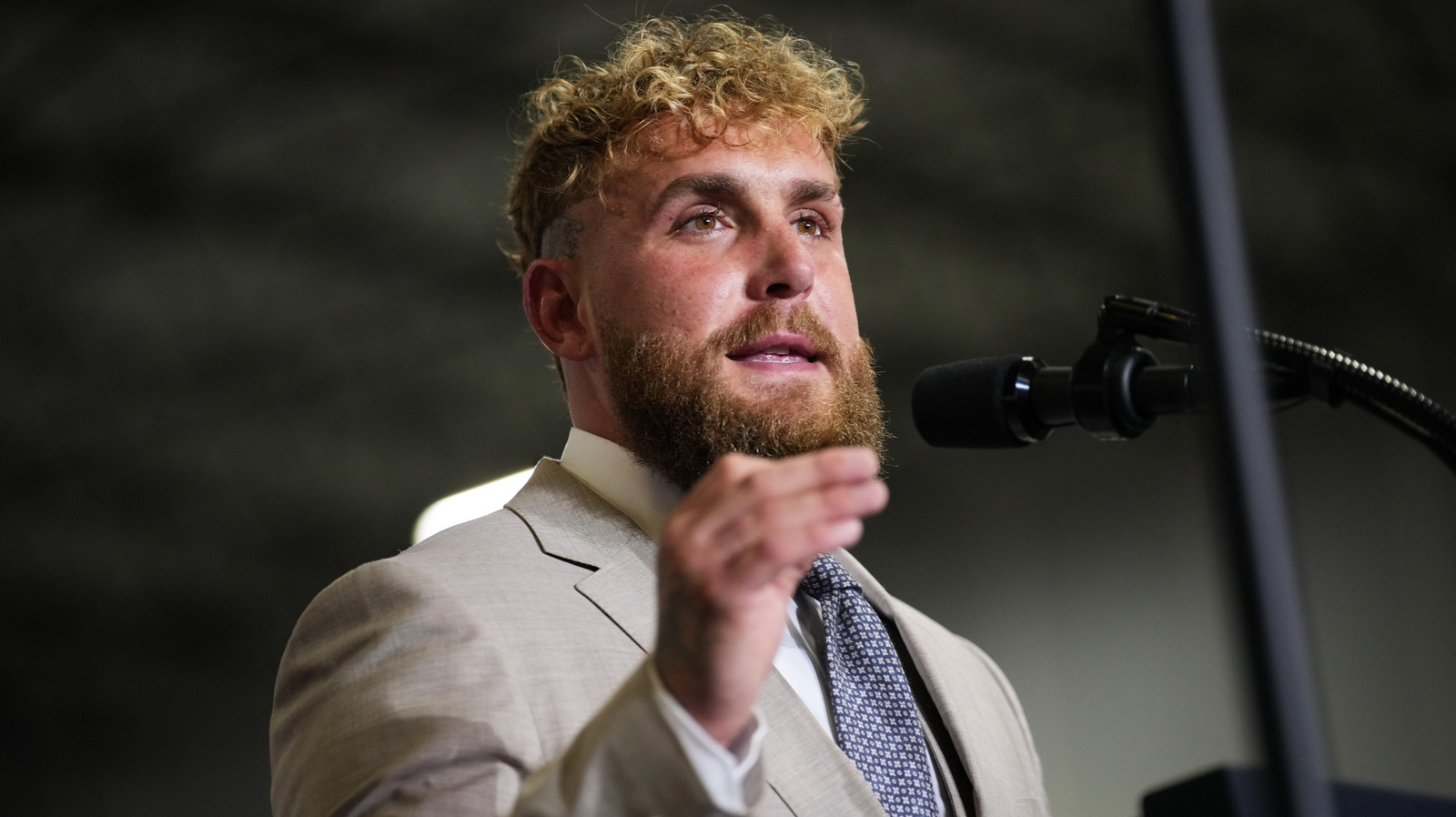Jake Paul Intrigued By Idea Of Fight With Former UFC Heavyweight Champion