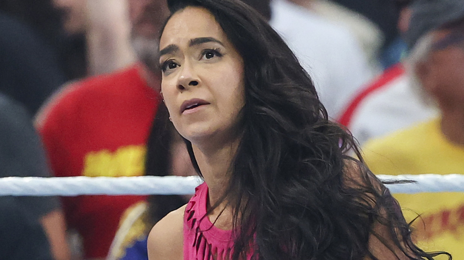 AJ Lee Following Her WWE WrestleMania Loss: ‘I’ll See You Soon, I Hope’