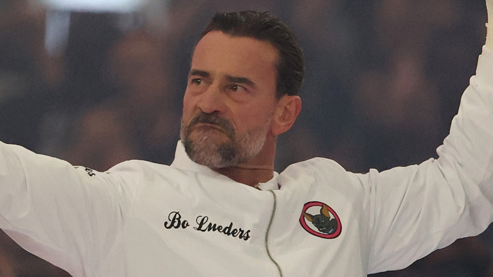 WWE Fan Wants Apology From CM Punk After Confrontation Over WrestleMania Weekend