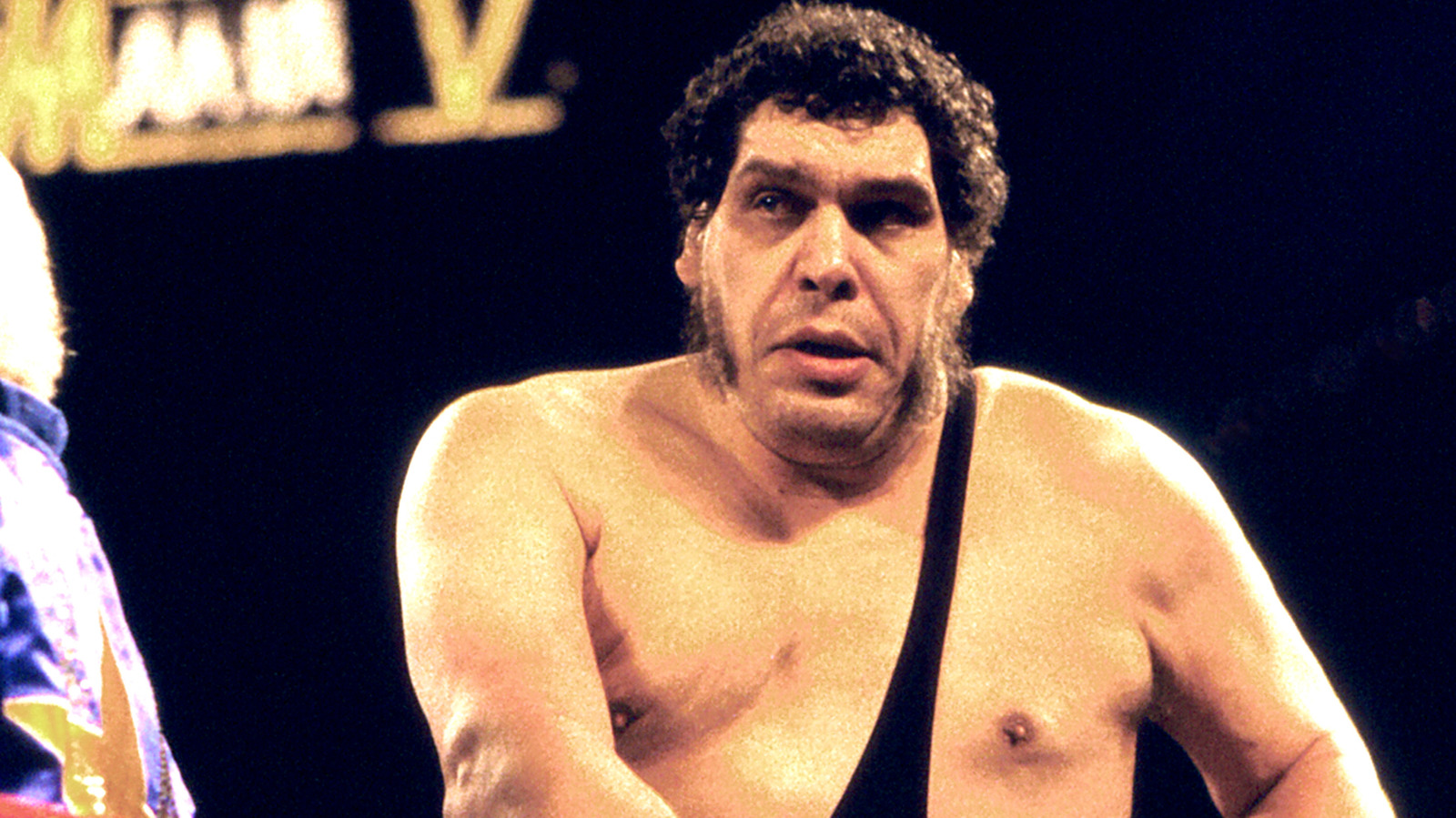 Late WWE HOFer Andre The Giant To Be Honored By Hometown In North Carolina