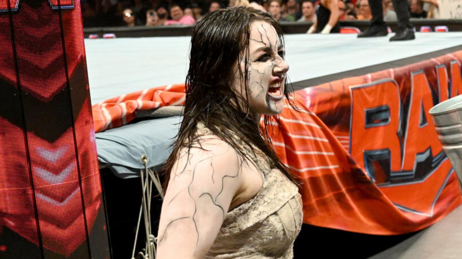 Nikki Cross Bids Emotional Farewell To Traveling Partner After WWE Departure