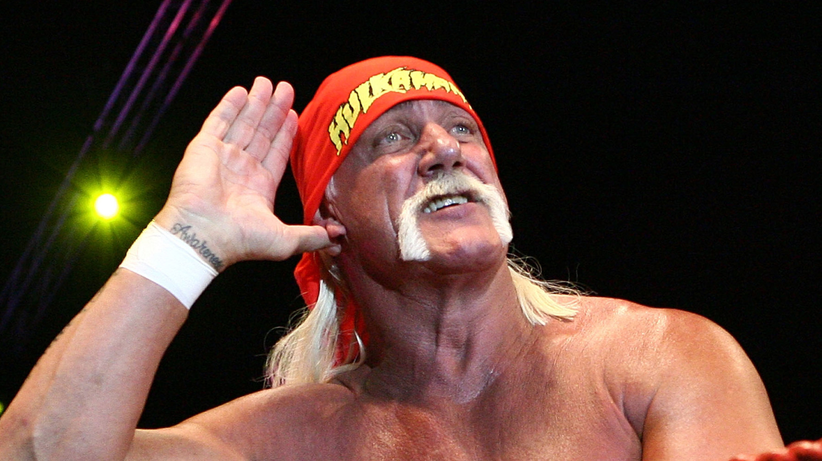 Brooke Hogan Discusses Her Erasure From Hulk Hogan Documentary