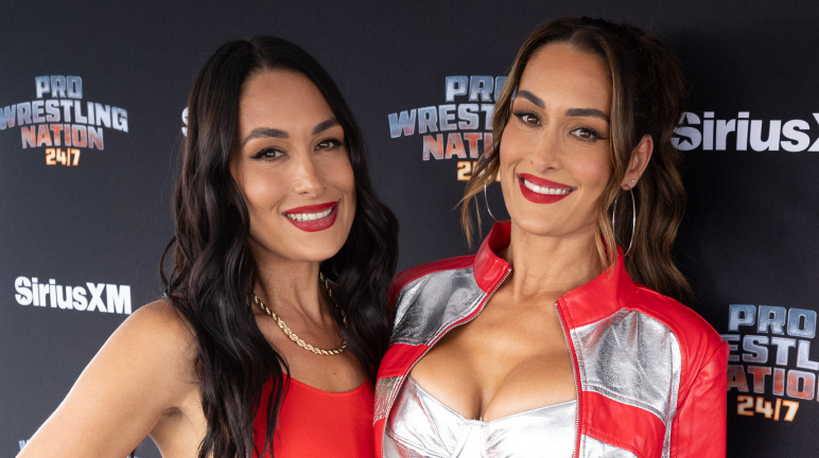 WWE’s Nikki Bella Vows To Return From Injury For Another Run With Twin Sister Brie