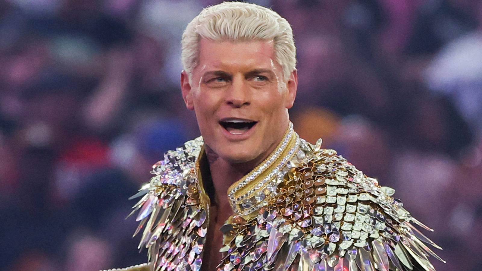 Bully Ray Explains What He Wants To See From Cody Rhodes Vs. GUNTHER In WWE