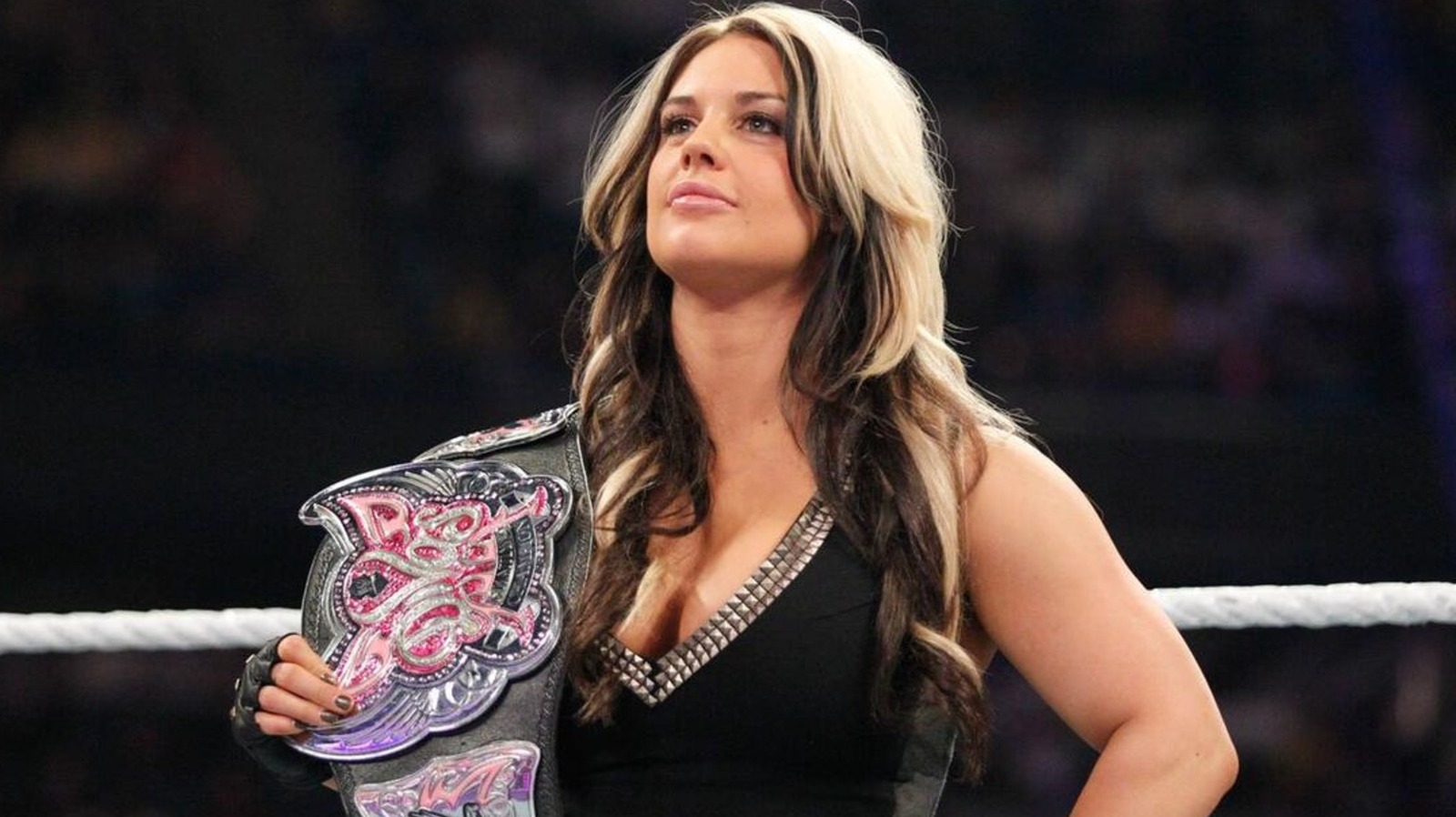 Former Divas Champion Kaitlyn On Whether She’d Return To WWE