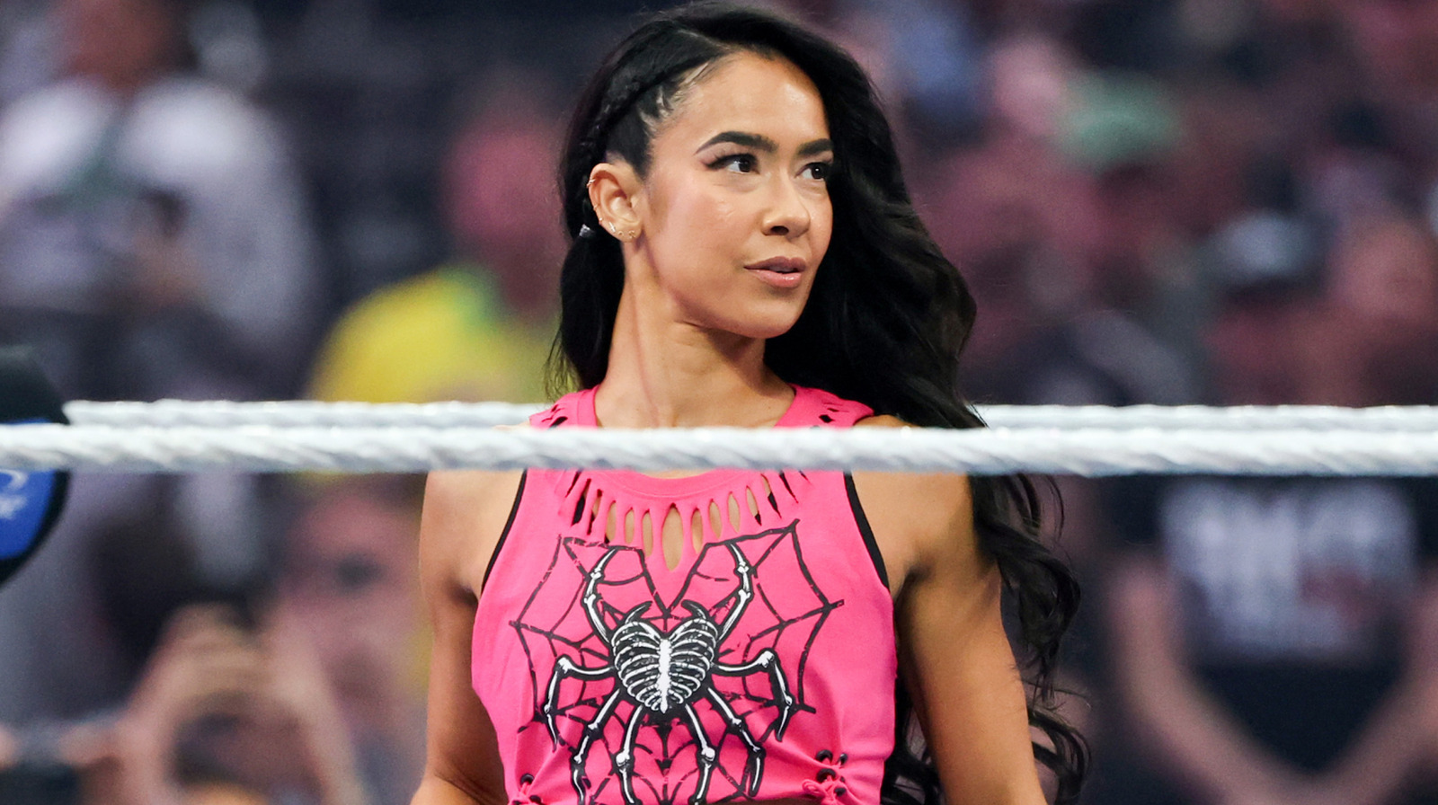 Ex-WWE Star Kaitlyn Comments On Recent Returns Of Former Divas Champs AJ Lee & Paige