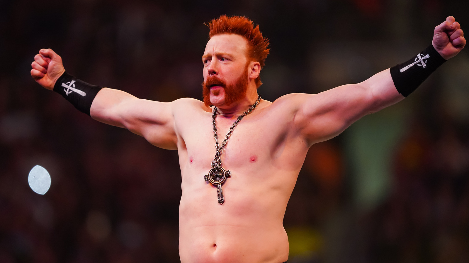 Sheamus Moved To Alumni Section Of WWE’s Roster Amid Departure Reports