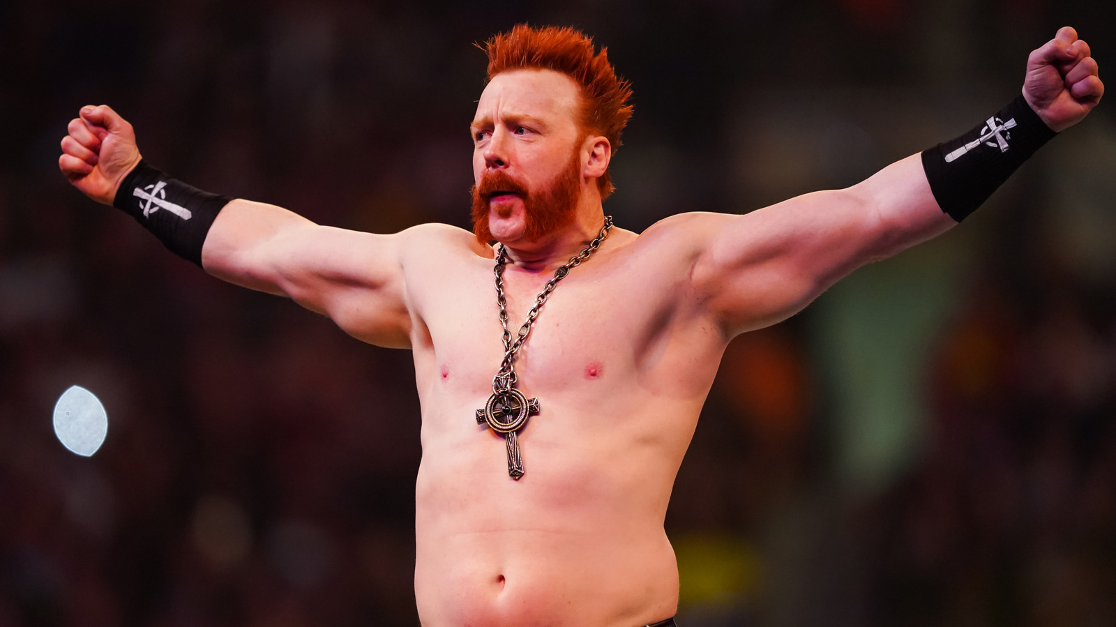 Sheamus Updates Social Media Profiles With New Name, Says Goodbye To WWE