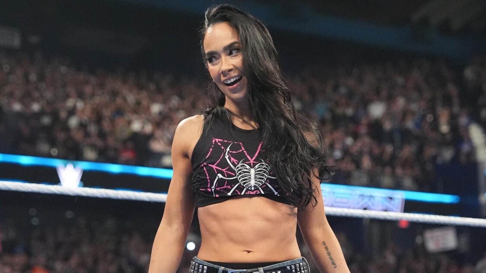 AJ Lee Discusses ‘Wonderful Surprise’ Of WWE Return