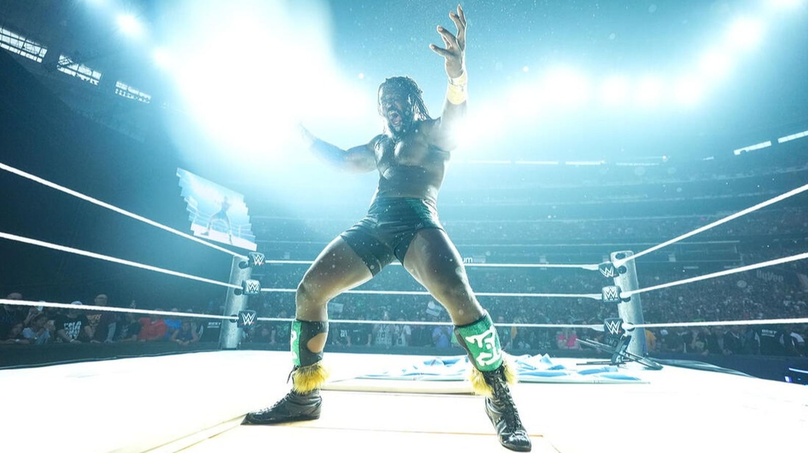 WWE’s Bronson Reed Appears To Throw Shade On Oba Femi’s Win At WWE SummerSlam 2026
