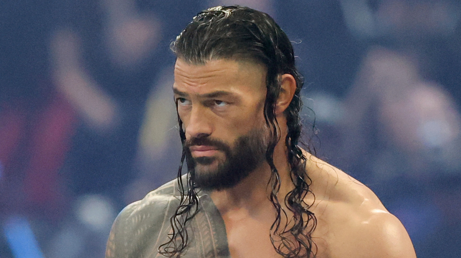 WWE: Roman Reigns Added To Advertising For Another WWE PLE In 2026