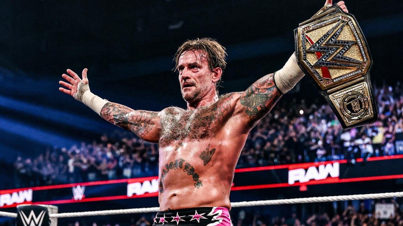 Undisputed WWE Champion CM Punk’s Trainer Responds To Accusations Punk Is On Steroids