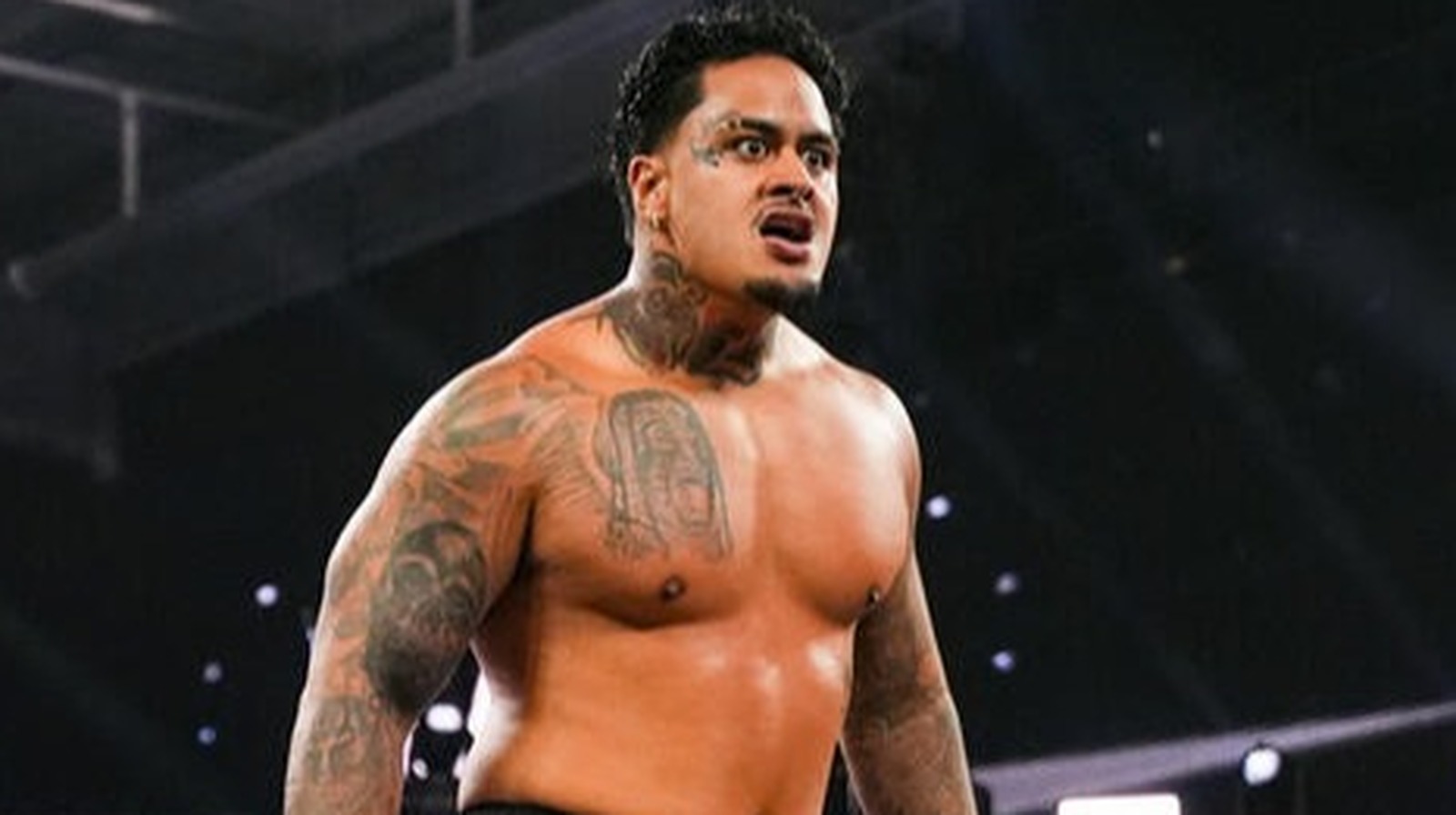 Bully Ray Talks Zilla Fatu’s WWE Debut, Says He Can Be ‘Rebellious’ Bloodline Member