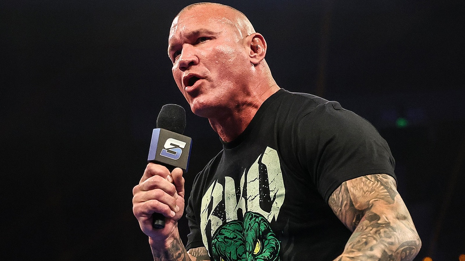Bully Ray Doesn’t Believe Randy Orton Will Win 15th WWE Title Anytime Soon