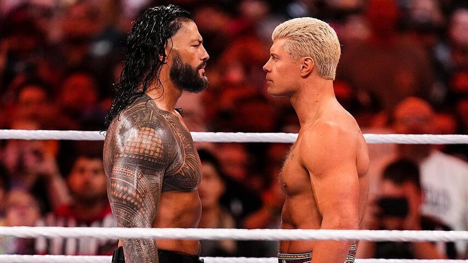 Roman Reigns Singles Out Longtime WWE Rival Cody Rhodes For High Praise