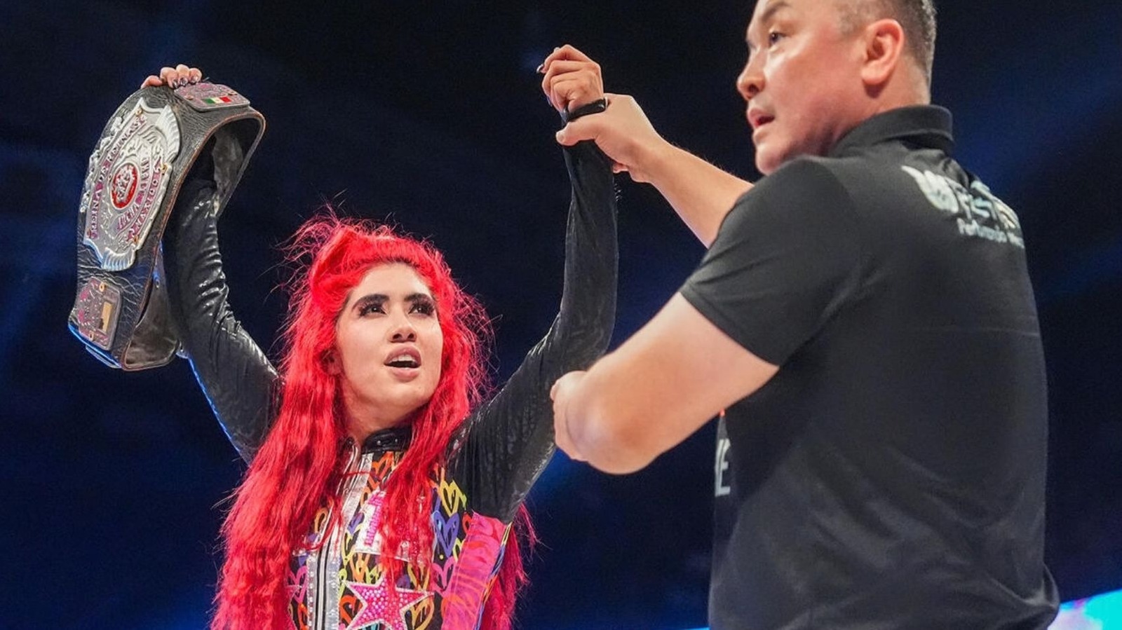 WWE Reportedly Incorporating More AAA Licensing In 2027