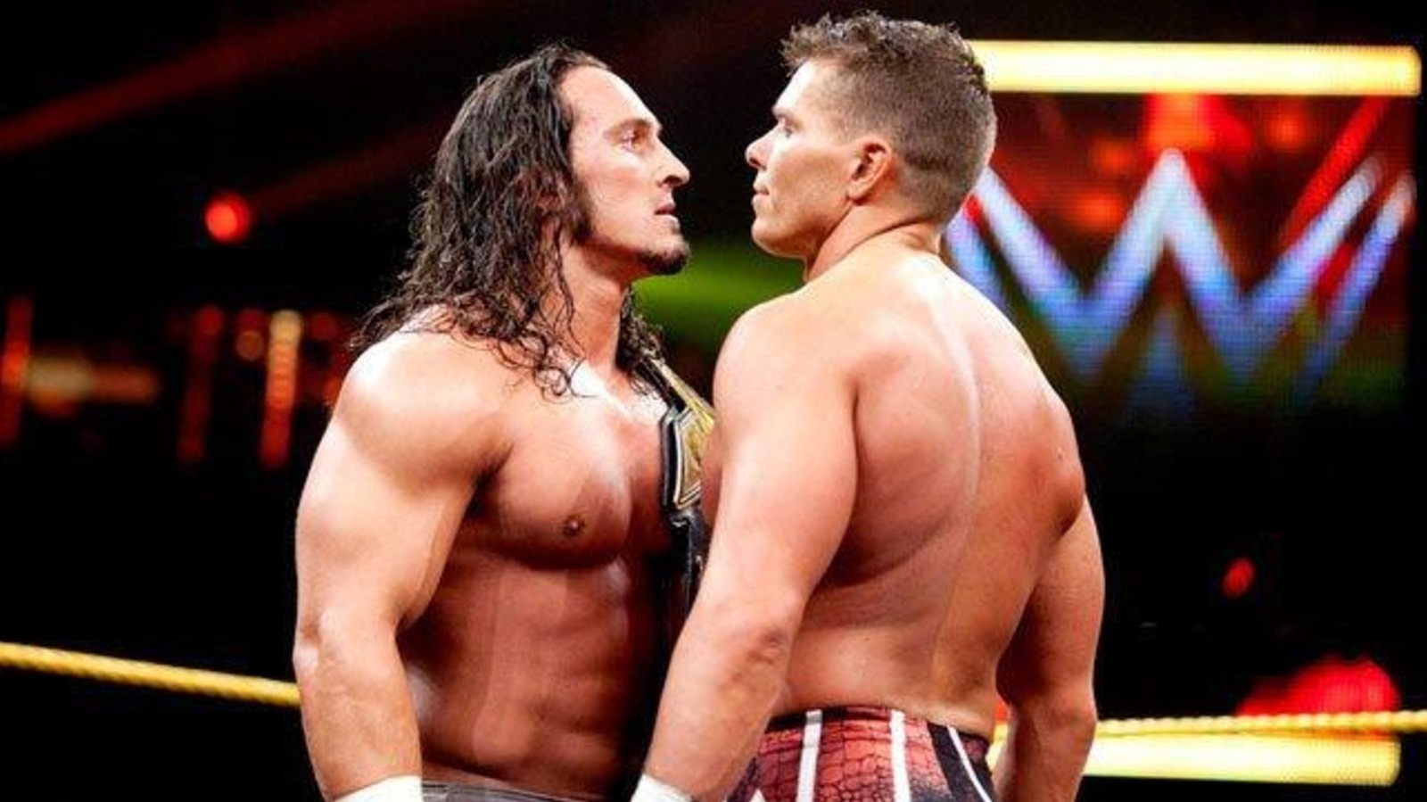 Ex-WWE Star, Current Producer TJ Wilson Believes 2014 Match With Pac Saved His Job