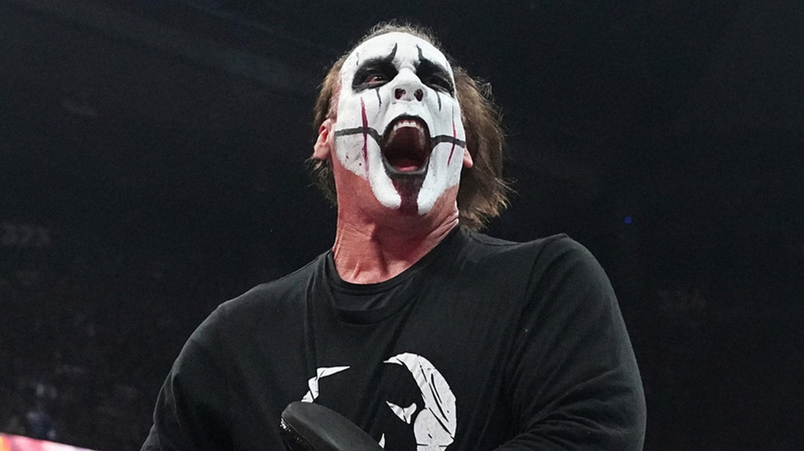 Darby Allin And Steve Borden Say Sting Had ‘More Fun In AEW Than Anyone Else’