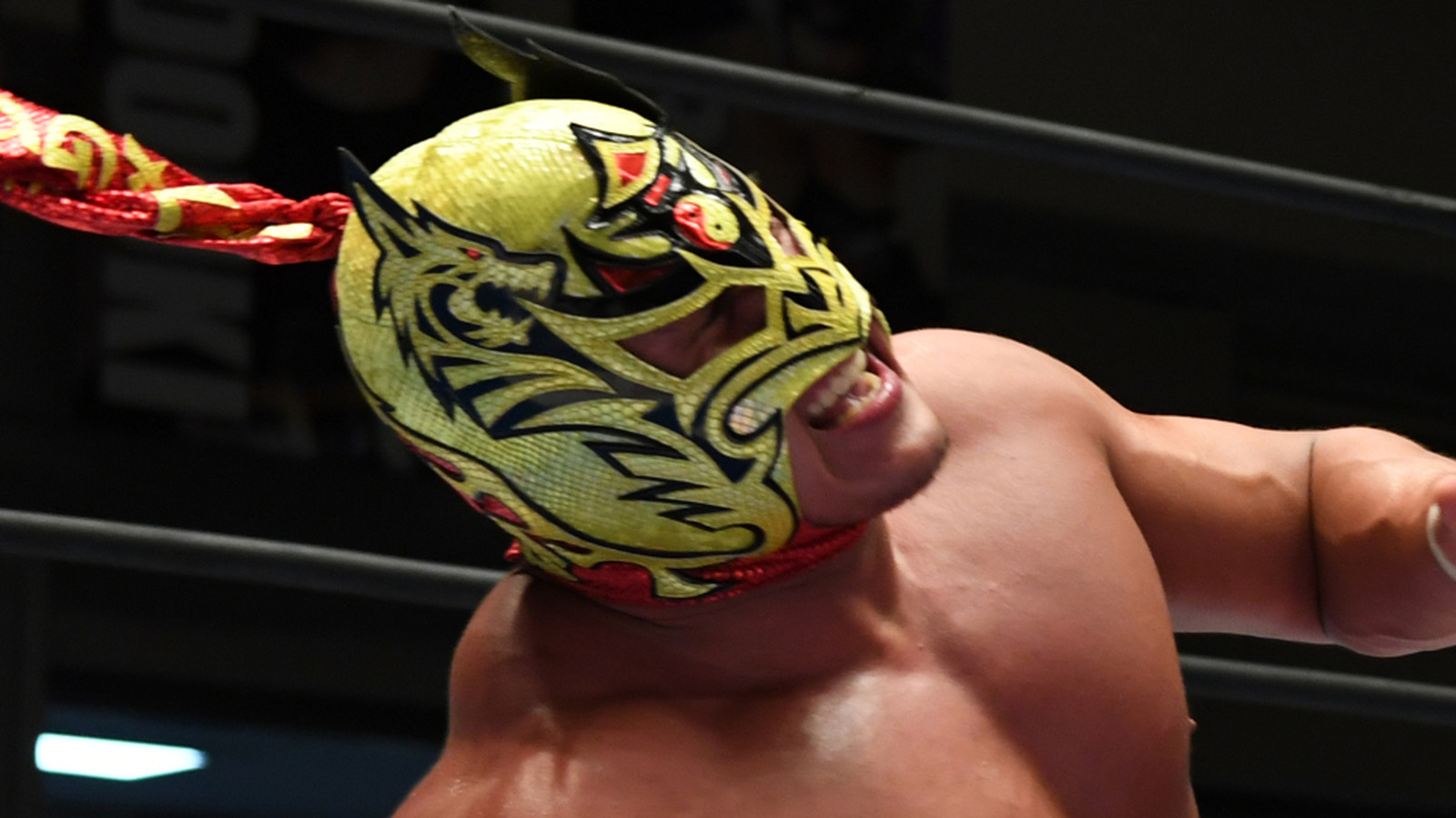 Dave Meltzer Assesses Dragon Lee And Dralistico’s Future