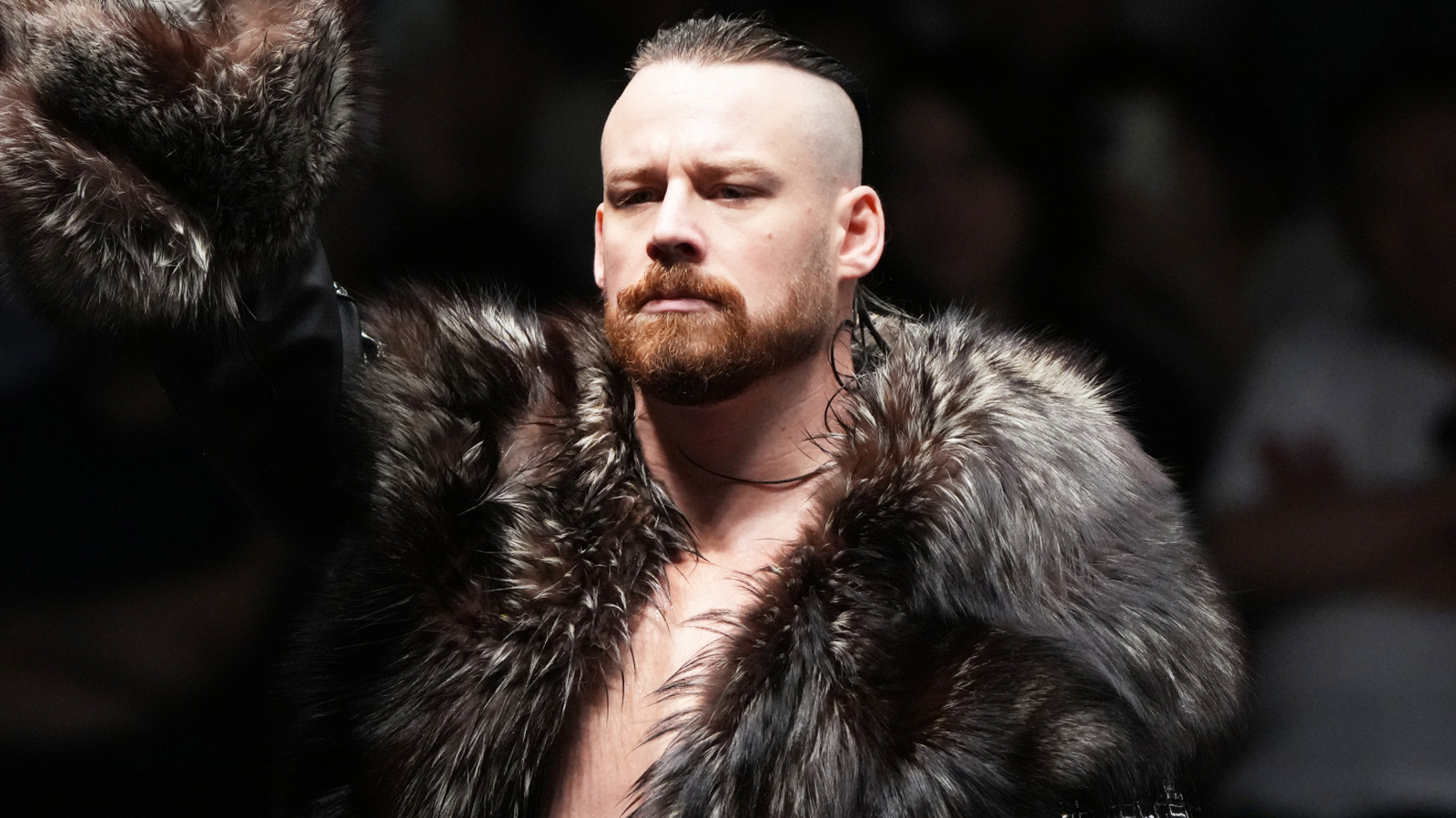 David Finlay Looks Back On NJPW Exit & Choosing AEW Over WWE NXT
